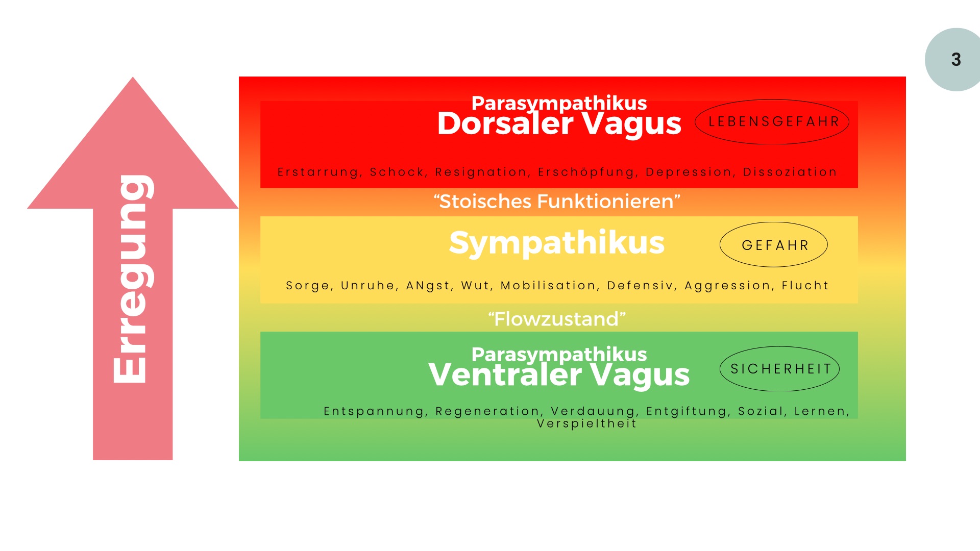 Grafik zur Polyvagaltheorie: Die drei Zustände des Nervensystems bei Stress in der Partnerschaft.